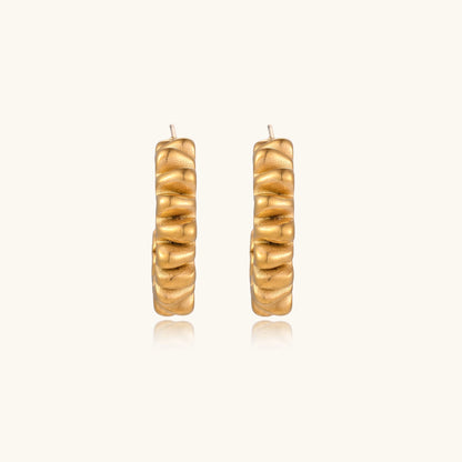 Gold-plated stainless steel earrings with twisted rope texture in various hoop sizes on neutral background.